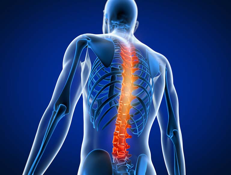 Spine Image